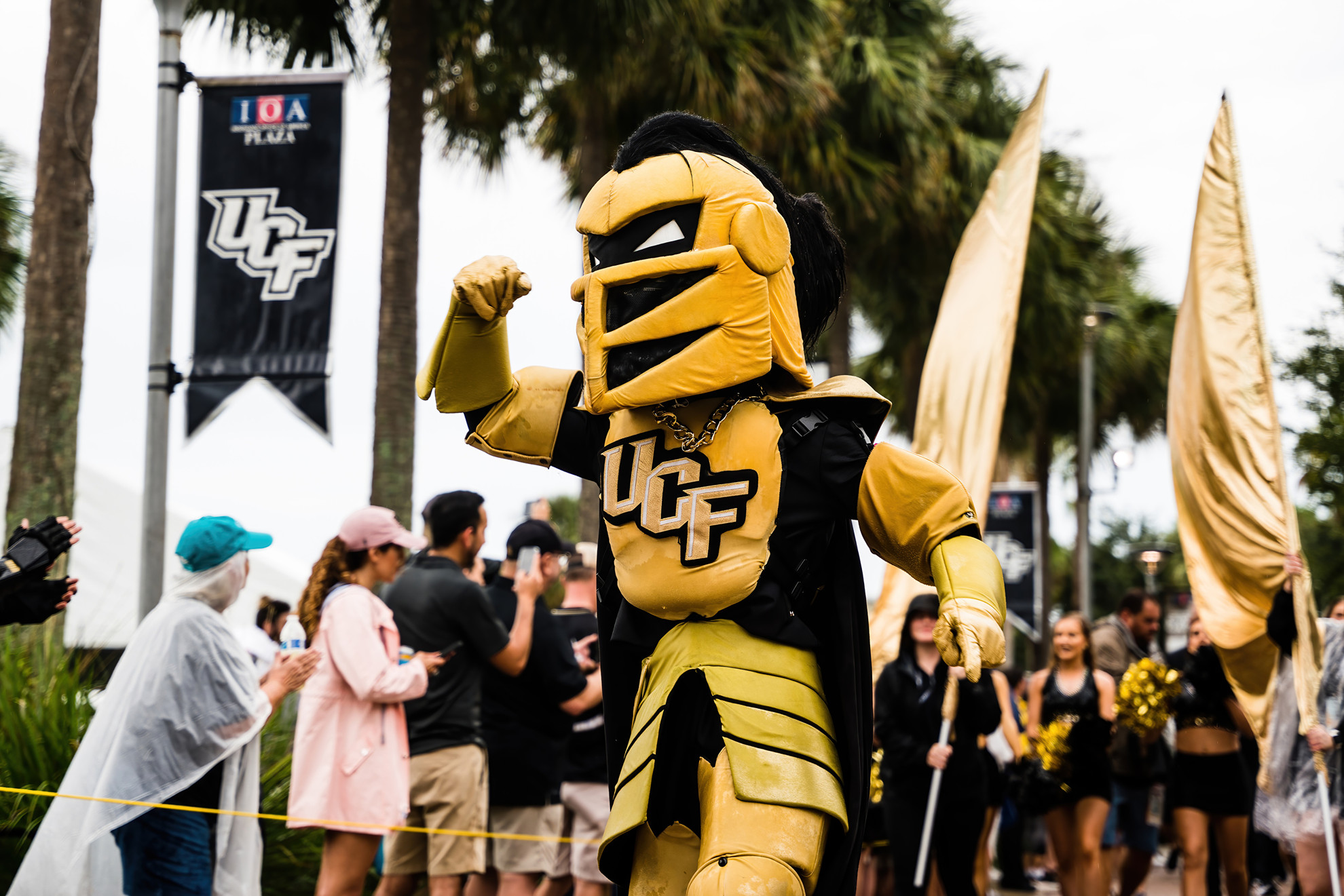 Knights in the Pros Update: September 20th - UCF Athletics - Official  Athletics Website