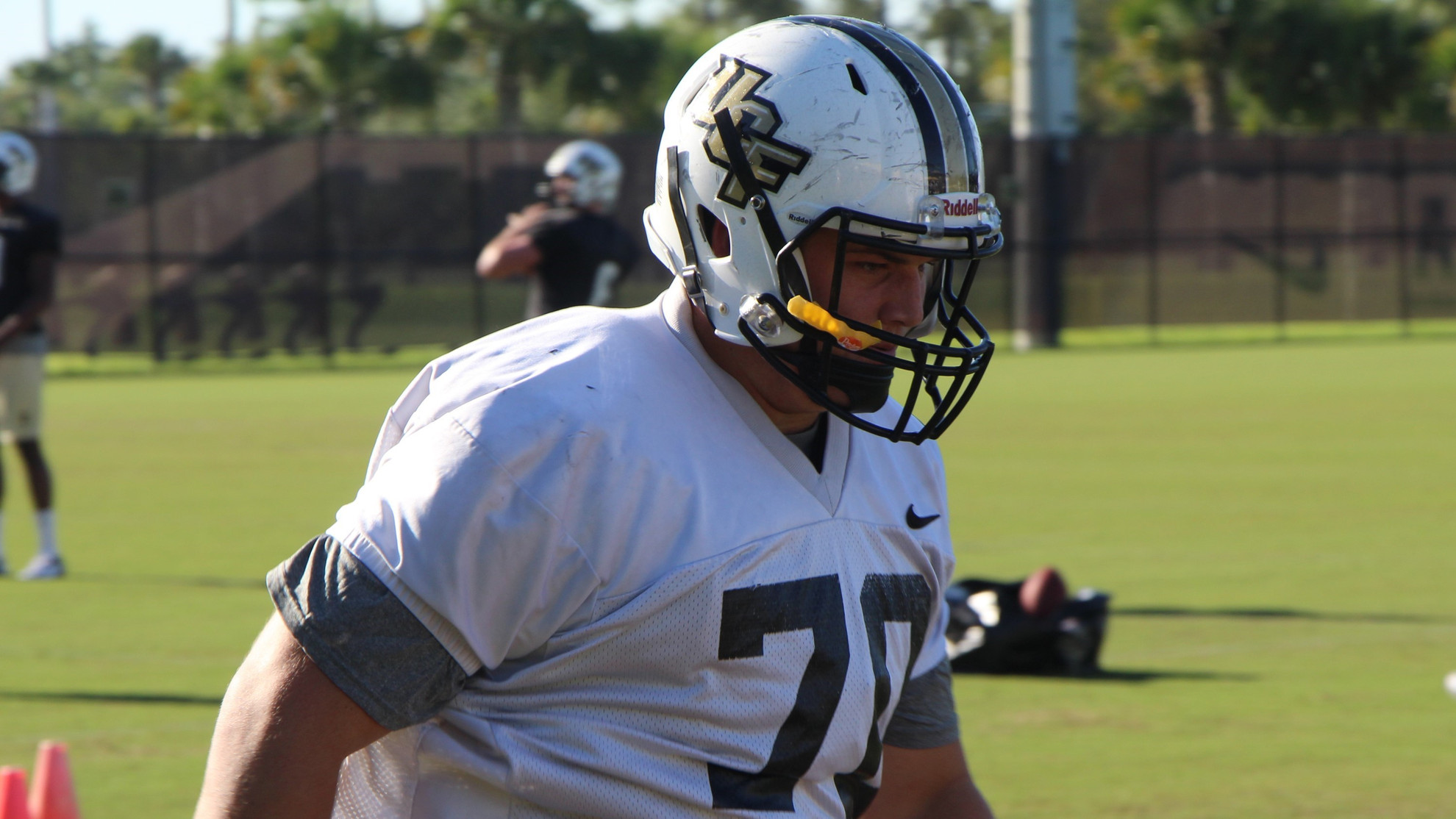 Luke Palmer Football 2017 UCF Athletics Official Athletics site