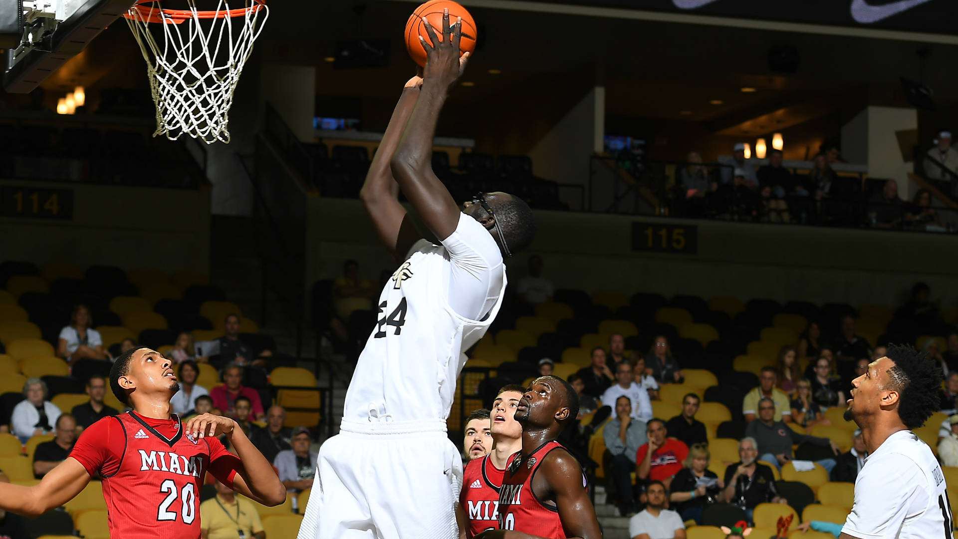 Matt Williams - Men's Basketball 2013-14 - UCF Athletics