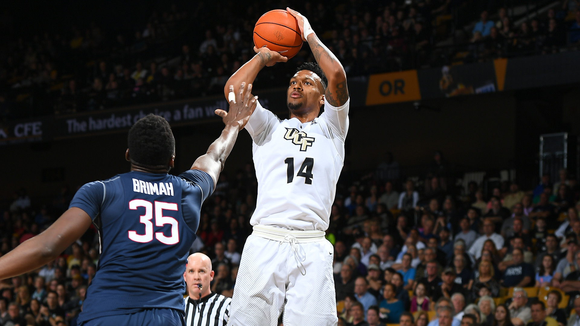 Matt Williams - Men's Basketball 2013-14 - UCF Athletics