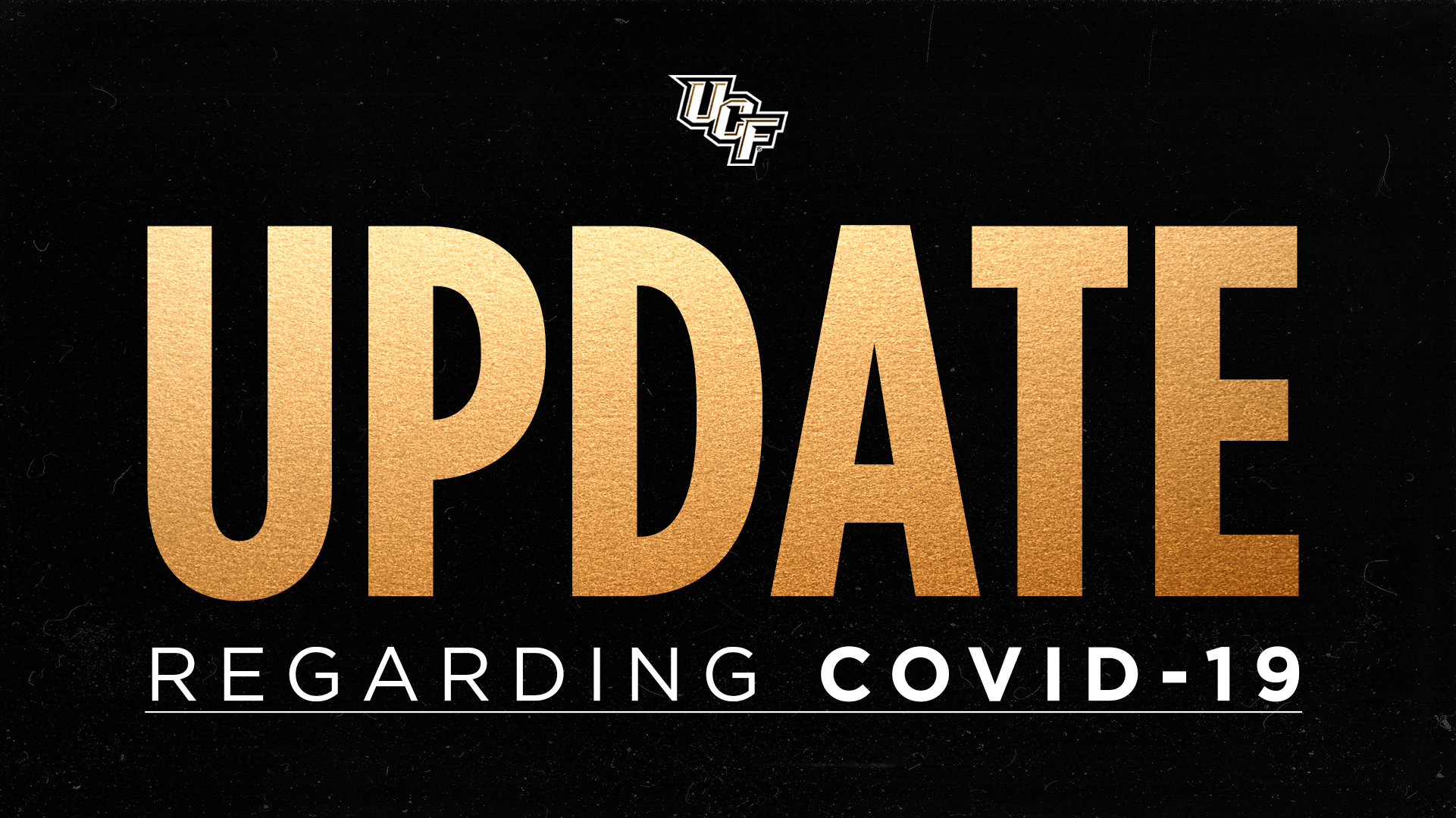 Knights in the Pros Update: Week 12 - UCF Athletics - Official Athletics  Website