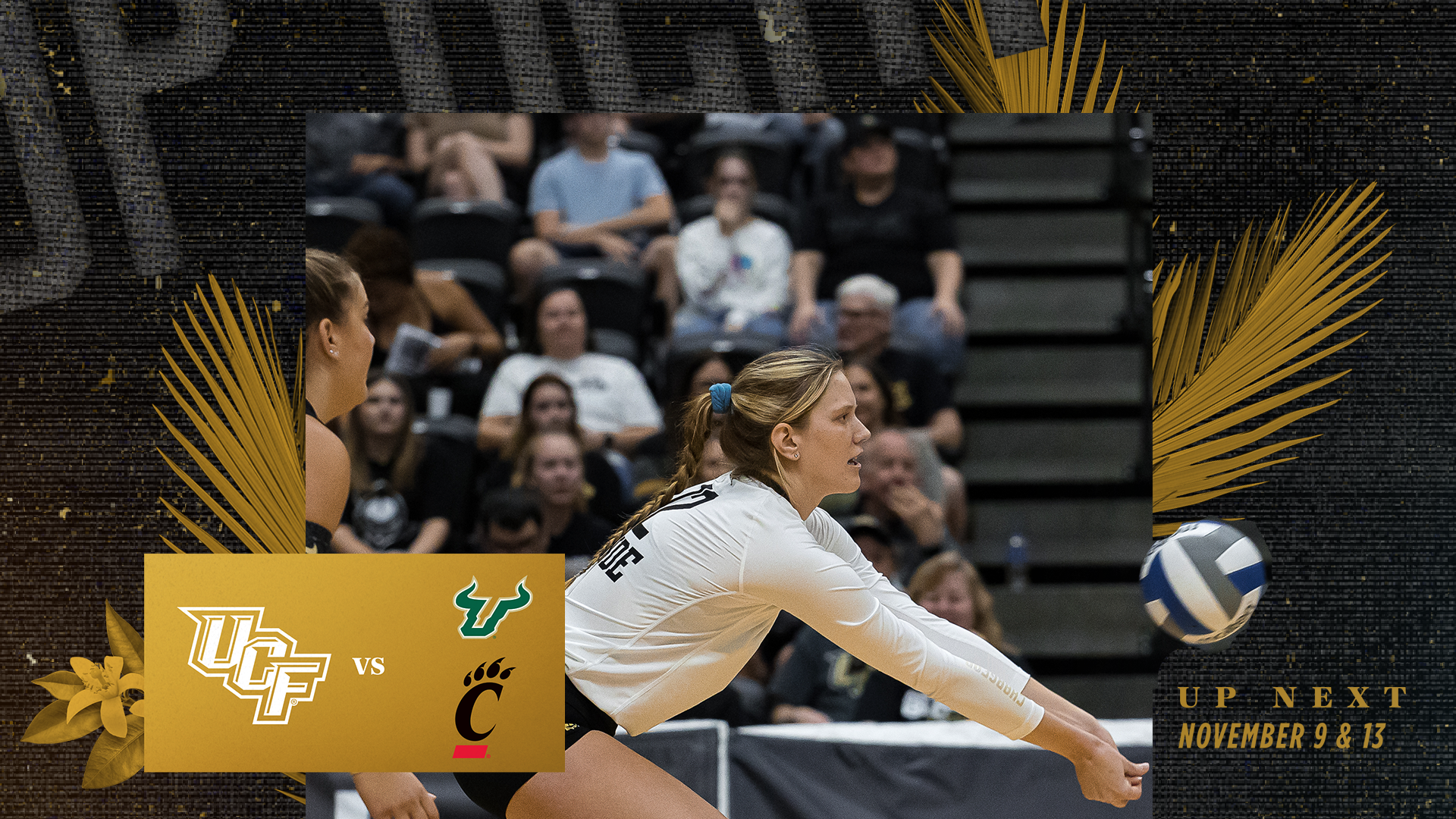 UCF Knights Volleyball Enters Top 25 in Latest AVCA Poll, Outside Hitter  Melville breaks record - Inside the Knights