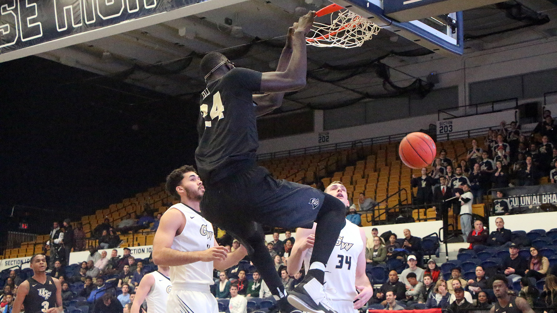 Matt Williams - Men's Basketball 2013-14 - UCF Athletics