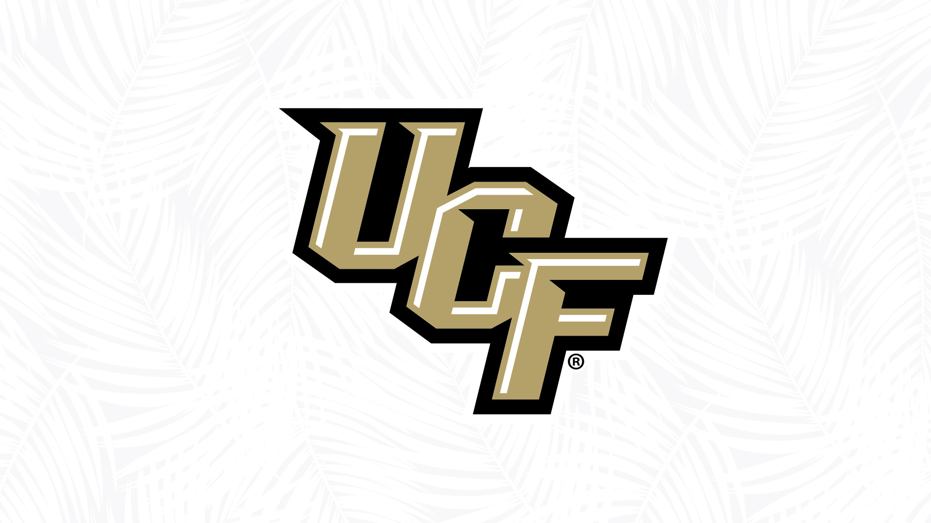 UCF Athletics Post Impressive APR Scores; Four Programs Earn